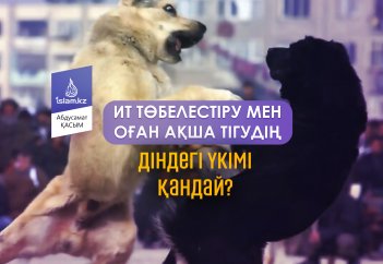 Ит төбелестіру мен оған ақша тігудің діндегі үкімі қандай?