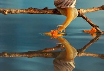 Мен сүйгенді сүйді деп...