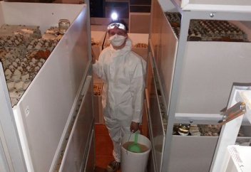 Африканың бір ғана елі жәндіктерді өсіруден жылына 55 млн долларға дейін пайда тапқан