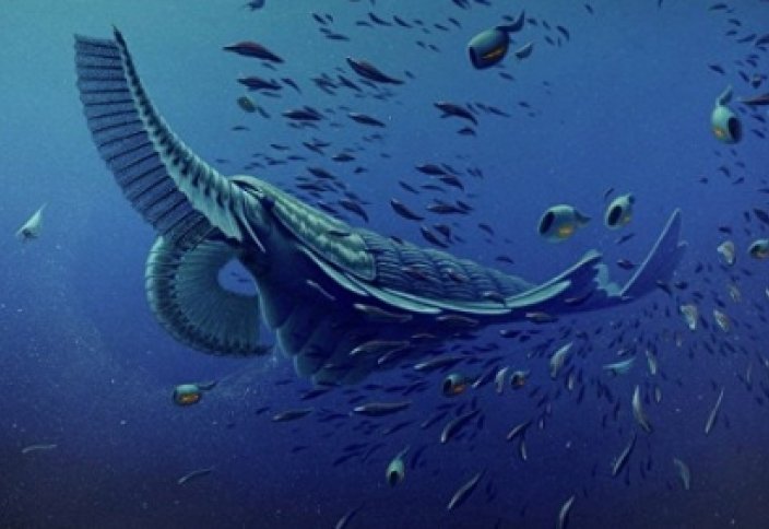 Палеонтологи раскрыли тайну появления первых животных Земли