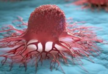 Сусамырдан құтқаратын инсулиндік рецептор табылды