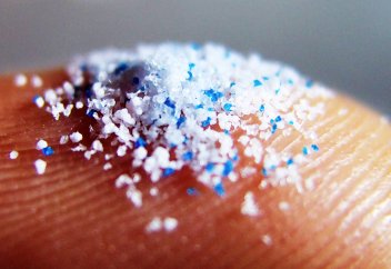 В организме 92% овец нашли микропластик