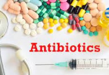 Как в мире разрабатывают новые антибиотики