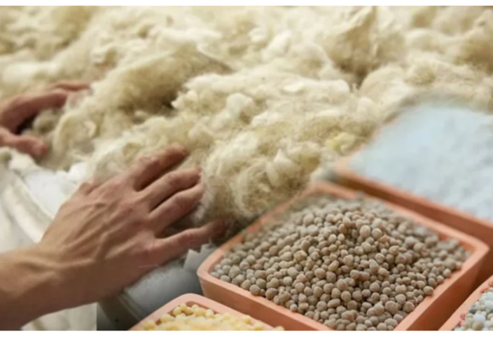 Эротикалық неміс журналы