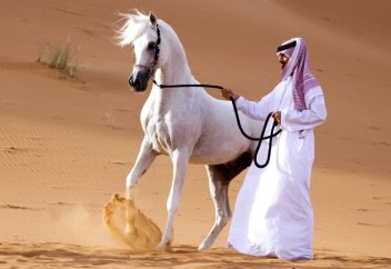 Араб елінде өзгенің құпиясын жариялағандарға қандай жаза қолданылатыны айтылды