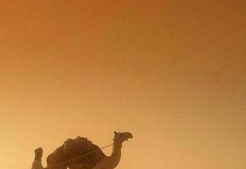 ҚАЗАҚҚА КЕРЕК МЫСАЛ