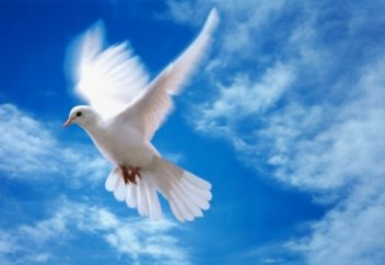 Бірлік бар жерде тірлік бар