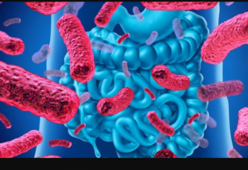 Бактерияларға ішектің жай-күйін «жазуға» үйретті: болашақтағы инвазивті медицина