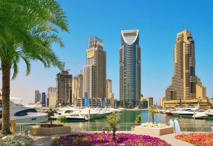 50% энергии в ОАЭ будет экологически чистой к 2050 году