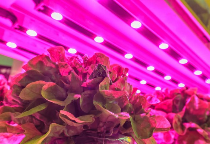 Зимбабве расширяет технологию травяного субстрата до девяти провинций