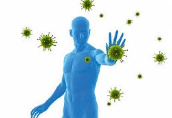 Ғалымдар: "Эболаға қарсы иммунитеті бар адамдар індетті тоқтата алады"