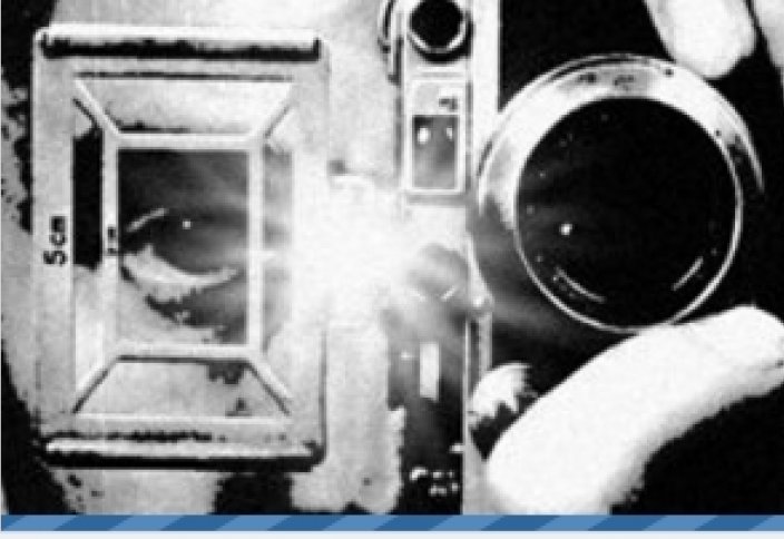 Человечество разделится на два биологических вида