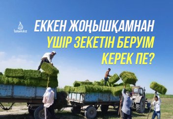 Еккен жоңышқамнан үшір зекетін беруім керек пе?