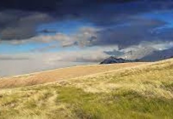 Жаһандық жылынудан аллергия мен демікпе аурулары өршиді