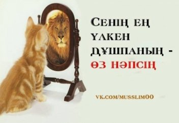 Ал сіз айнадан мына нәрсе көрінеді ме?