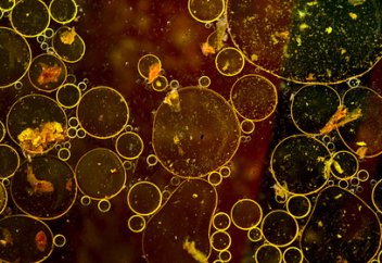 Суды қауіпті антибиотиктен тазартатын тың тәсіл табылды