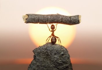 Өмірдің көп мәнді, құнды сынағы...