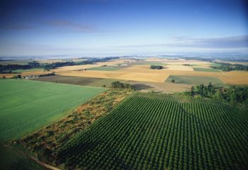 Мәжіліс жер туралы заң жобасын мақұлдады: Қазақ жері шетелдіктерге беріле ме?