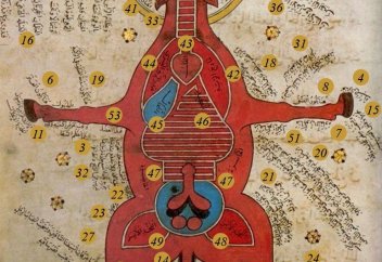 1000 жыл бұрын Мұсылман әлеміндегі экспериментальды медицинаның дамуы