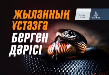 Жыланның ұстазға берген дәрісі