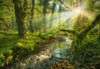 Табиғаттың таңғажайып сұлу көріністері (фото)