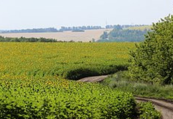 Топырақты тозудан сақтайтын әдіс табылды