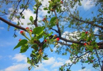 Таулар да шөгеді, өзен де тартылады...