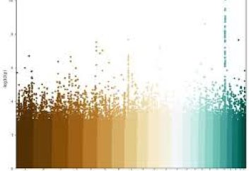 Жараны жазатын бірегей жақпамайы әзірленді