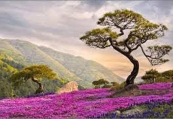 Аруана-ауылыма!..