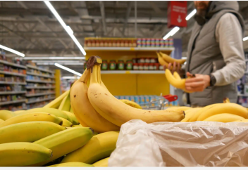 Где продаются экзотические фрукты, выращенные в Казахстане, рассказали в МСХ