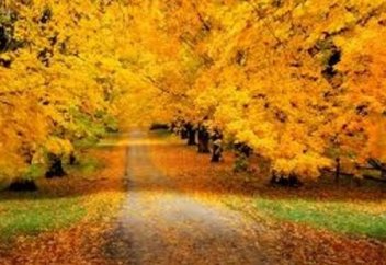 Мұқағали Мақатаев