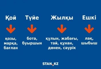 Төрт түлік мал төлдерінің қазақша атауы