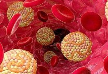 Ойламаған жерден холестериннің адам ағзасына тигізер пайдасы анықталды