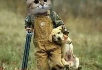 Жануарларға жәбір көрсеткендерге күншығыс елінде қандай жаза қарастырылған