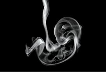 Кеңінен тараған жат әдеттің ұрпаққа берілетін зардабы белгілі болды