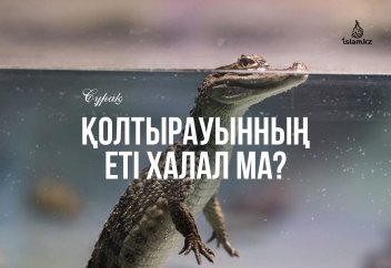 Қолтырауынның еті адал ма?