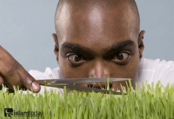 Нужна ли в исламе щепетильность?