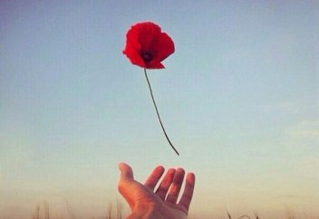 Разное: Парень творчески отомстил бросившей его девушке (видео)