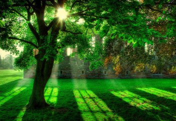 Алланың ризашылығы деген не? (ғибрат-хикая)