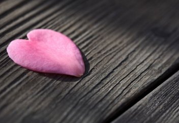 Обязана ли невестка ухаживать за родителями мужа?