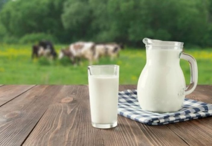 Молоко — еда для детей? Почему взрослым рекомендуют пить его меньше