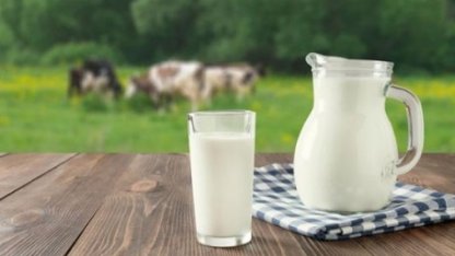Молоко — еда для детей? Почему взрослым рекомендуют пить его меньше