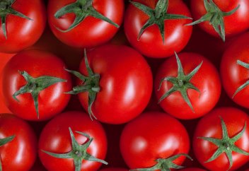 Британиялық ғалымдар D дәруменіне бай жаңа қызанақ түрін шығарды