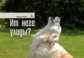 Ит неге ұлиды?