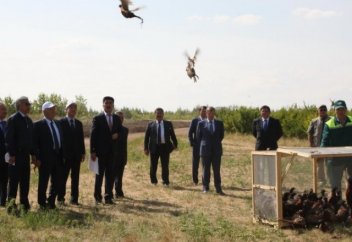 Астананың жасыл белдеуіне марал, елік пен қырғауыл жіберілді