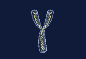 Әйелдердің ерлерге қарағанда ұзағырақ өмір сүруінің сыры белгілі болды