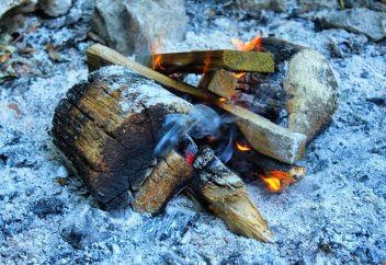 Көреалмаушылықтың зияны мен деңгейлері (хадис)