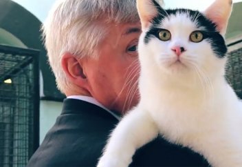 В Иордании на госслужбу взяли кота (Фото)