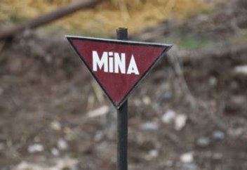 Алжир аумағын минадан тазартуға әлі ондаған жыл керек
