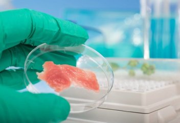 Разное: Китайские ученые собрали первый «урожай» мяса, выращенный вне животного